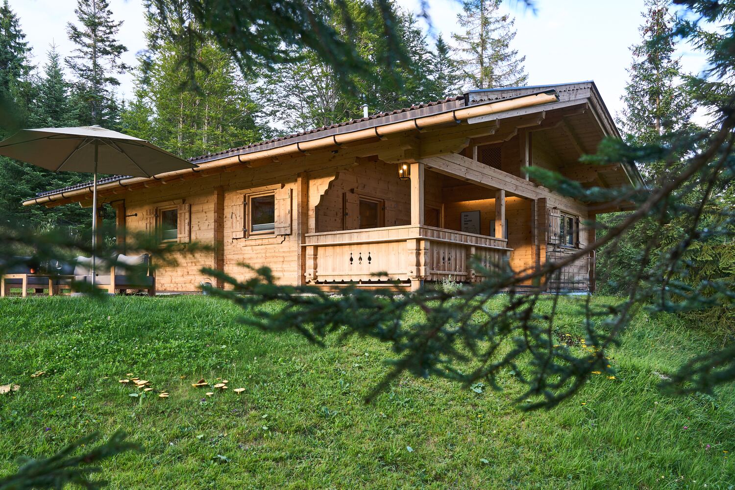 The chalet in summer on the meadow at the forest edge, in warm evening light